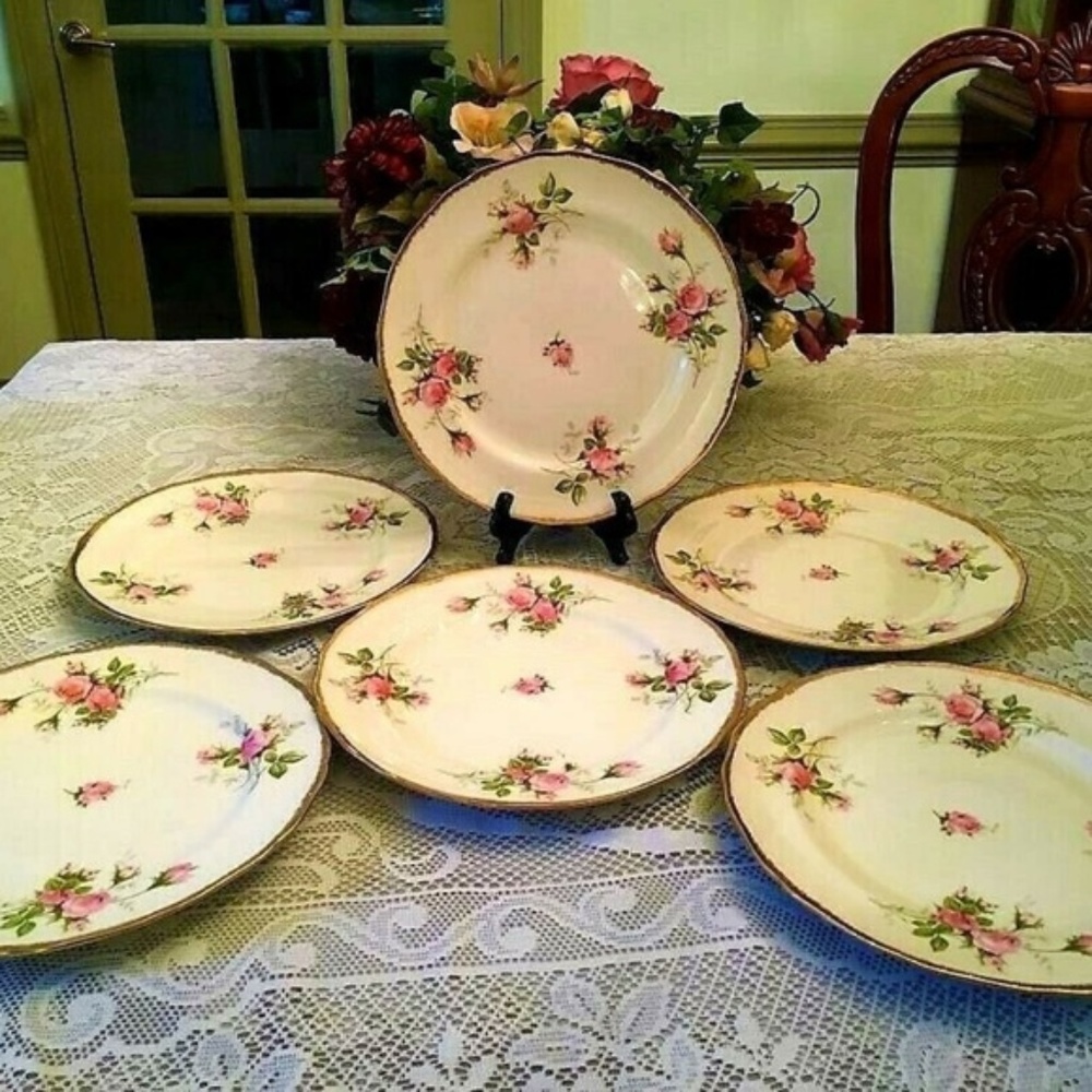 6 Vintage 1948 Canonsburg Moss Rose 22K Plates